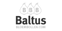 Babilonia propone Baltus: bulbi direttamente dal coltivatore